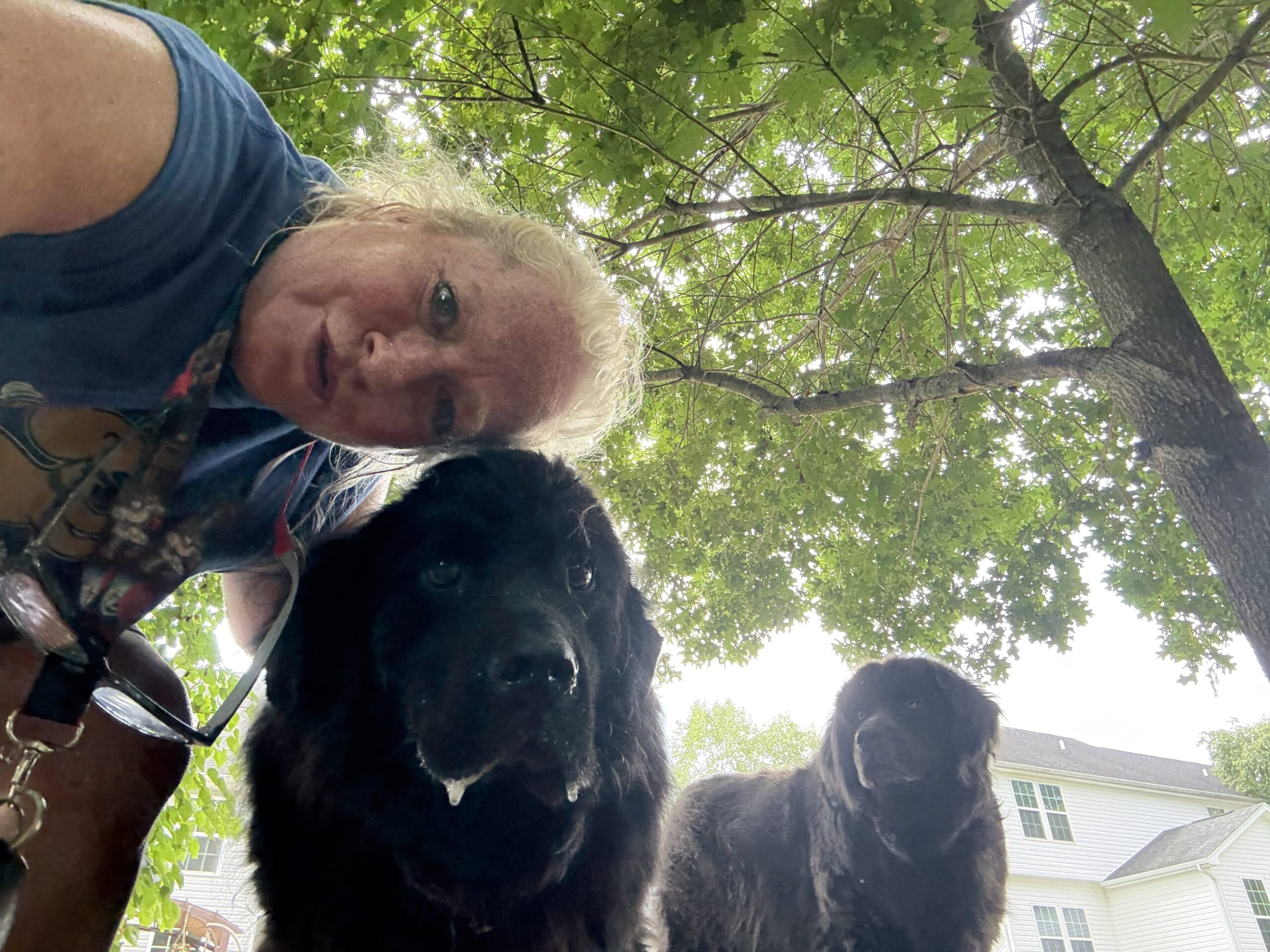 Northern Kentucky pooper scooper technician meeting with dog in backyard